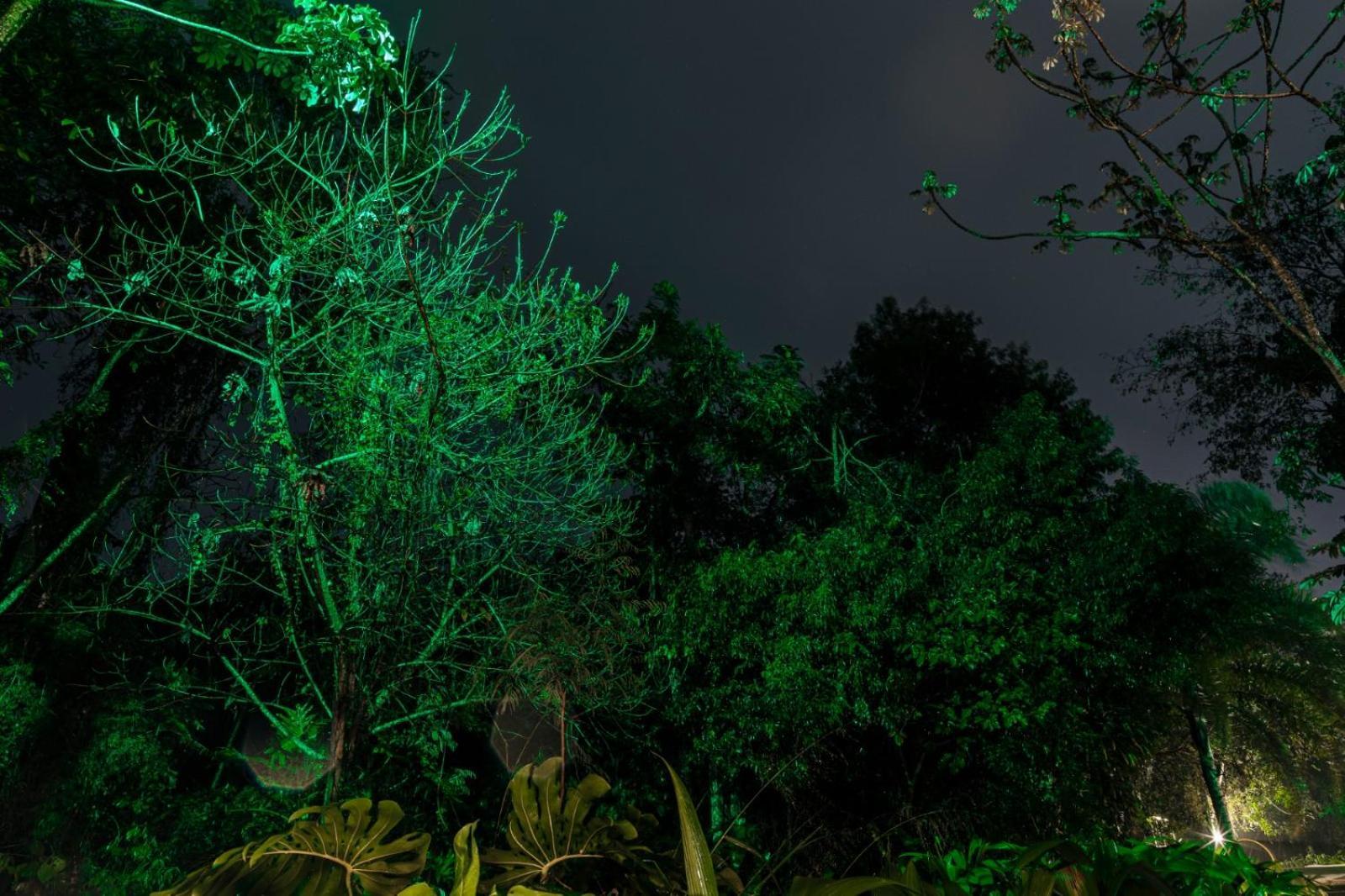 Rainforest Hotel & Cabanas Puerto Iguazú Kültér fotó